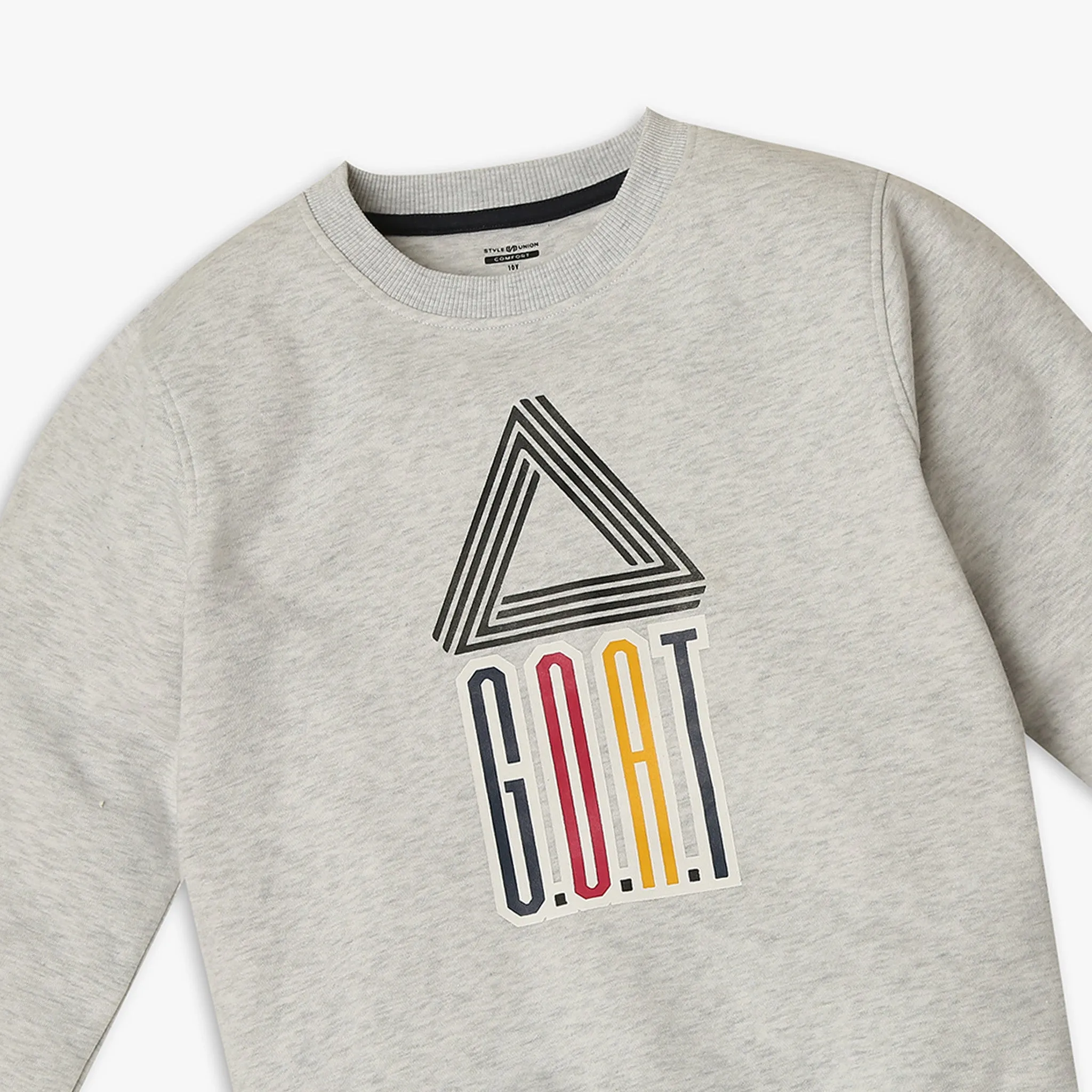 Boy's Regular Fit Graphic Sweat Tees